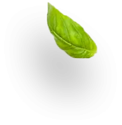 shape